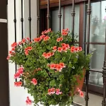 Apartamento Flores De Mayo En Centro