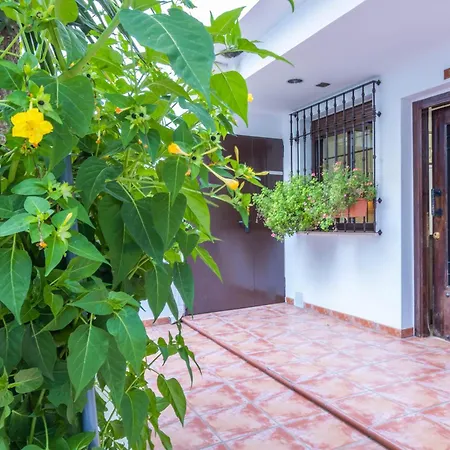 Flores De Mayo En Centro *