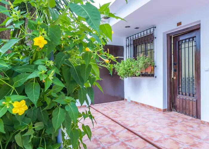 Flores De Mayo En Centro *