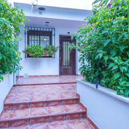 Flores De Mayo En Centro