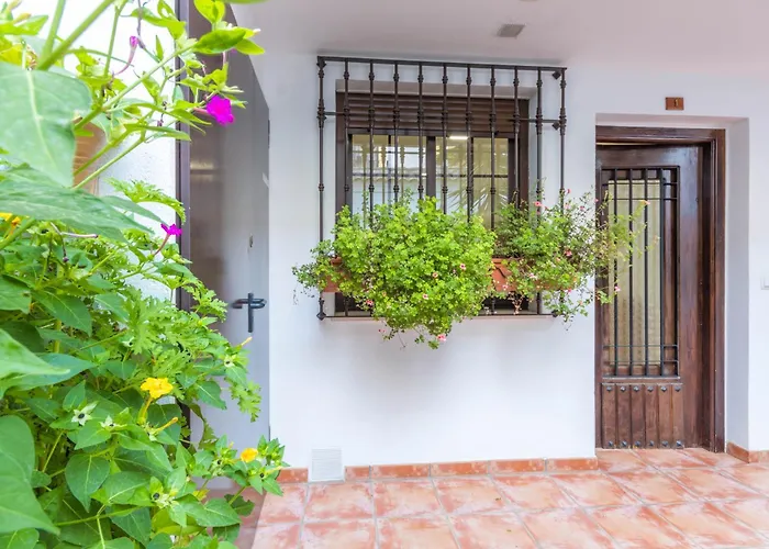 Lejlighed Flores De Mayo En Centro *